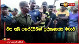 වන අලි පහරදීමකින් පුද්ගලයෙක් මරුට