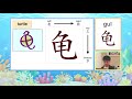 【看图学汉字】learning chinese characters with pictures episode 20 fish u0026 turtle 第二十集 鱼、龟（中英双语字幕）