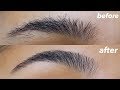HOW TO GROOM + SHAPE YOUR EYEBROWS! (super easy + at home)