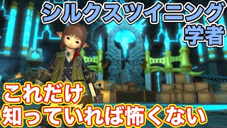 【FF14】シルクス・ツイニングに学者(ヒーラー)で挑戦【これだけ知っていれば怖くないヒーラー編 2021年版】