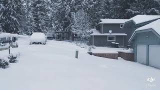 PNW Snowmageddon 2019