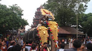 Ernakulam Shivakumar Mass entry in Thrissur Pooram 2022 | ആന എറണാകുളം ശിവകുമാർ ആന