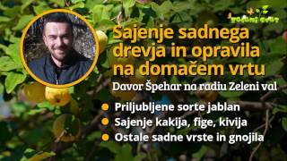 Sajenje sadnega drevja in opravila na domačem vrtu