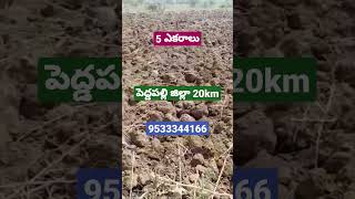 5 ఎకరాలు వ్యవసాయ భూమి అమ్మబడును#25 లక్షలు ఎకరం#agriculturelandforsale