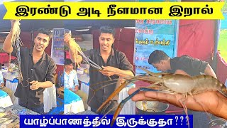 இராட்சத இறால் யாழில் இருக்கா??? | யாழ் உணவு திருவிழா | Part-2 | MK Jaffna