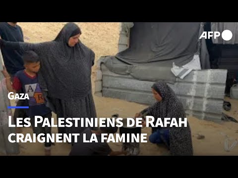 Les Palestiniens du sud de la bande de Gaza craignent la famine AFP