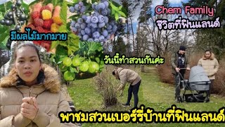 พาชมสวนเบอร์รี่บ้านที่ฟินแลนด์เยอะมาก/อากาศดีออกมาทำสวนกันค่ะ/chem family