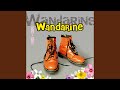 Vanina's hearts club band (Version CD)