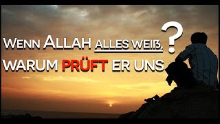 WARUM DAS ALLES, WENN ALLAH ALLES WEIß?