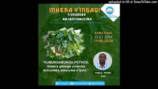 Sobanukirwa Ikimera Bita #Pothos ikimera cyiza cyo gutaka mu nzu cg ku nkuta | 25.01.2024