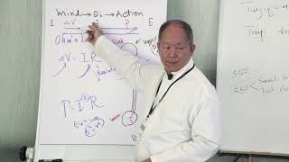 Lesson C: Tai Chi Theory - Master Yang LIVE (excerpt) Interpretive Application
