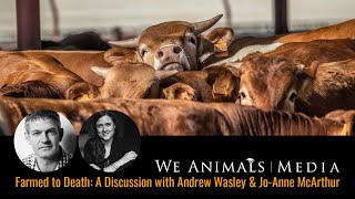 Farmed to Death: A Discussion with Andrew Wasley & Jo-Anne McArthur