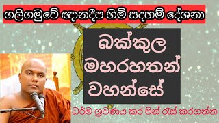 බක්කුල මහ රහතන් වහන්සේ | Galigamuwe Gnanadeepa thero