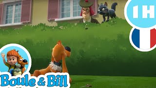 😖 Bill est innocent ! ⚠️ - Nouvelle compilation Boule et Bill FR