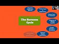 what is the healthcare revenue cycle part 4