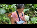 Mother and child picking banana leaves to sell at the market - my daily life | Nhenhang