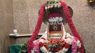 #பிரதோஷம் #புதன் #நந்தி#அபிஷேகம்#சிவன் #sivan#சிவாயநமக#sivantemple #om #Temple #nanthi