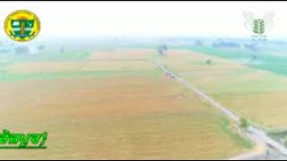 Happy Seeder Sown Wheat in Ferozepur (KVK, Ferozepur)