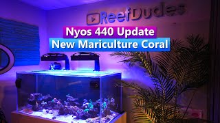 Nyos Opus 440 Reef Tank Update - New Mariculture Corral! Torches and Goni's o my!