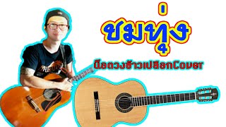 ชมทุ่ง/น็อตวงข้าวเปลือกCover