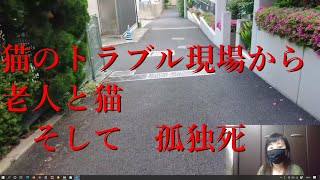 猫のボランティア現場から　老人と飼い猫のおはなし