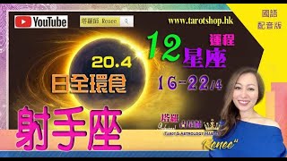 射手座♐️十二星座运程(国语配音版)♦日全环食♦2023年4月16-22日♦有情人终成眷属♦变得更主动大胆♦毫不犹豫主动出击♦宜彻底检查工作♦2023年星座｜12星座运势週报｜🔮塔罗占星师 Renee