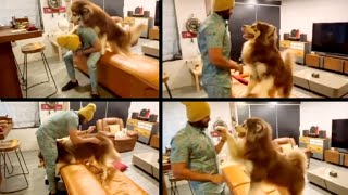 Actor Vijay Devarakonda Playing With Charmy Kaur's Pet Dog || Liger Movie || Silver Screen