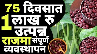 संपूर्ण राजमा व्यवस्थापन | अगदी सोप्या भाषेत | Dnyaneshwar Kharat Patil | RAJAMA/घेवडा