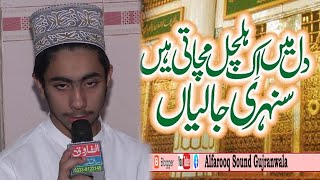 Yaad Ati Hain Sunahri Jaliyan | Muhammad Anees Naqshbandi | Malas Ameen Darbar Sharif 2021 | Alfaroo