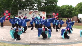 名大祭・らんまつり２０１３　【いろは】