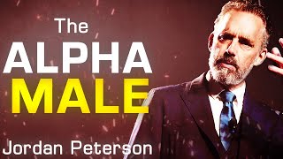 HOW TO BE AN ALPHA MALE | Jordan Peterson  | LIFE ADVICE