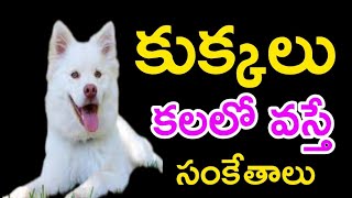 కుక్కలు కలలో వస్తే సంకేతాలు |  The Meaning of Dog's in Dreams | Telugu Life Facts