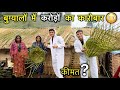 लाखों का कारोबार करते है पशु चरवाहें इन बुग्यालों में 😳 || Village Lifestyle Vlog || Devbhoomi Vlogs