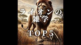 ライオンの雑学TOP5 #雑学 #shorts #豆知識 #ライフハック #モテる #デキる人間大全 #ランキング #おすすめ #おすすめにのりたい #top5 #都市伝説#クジラ#動物#動物園