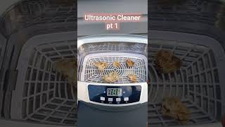 Cleaning Rocks with Ultrasonic Machine pt 1 #rocks