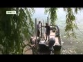 à la carte -- Fresh fish from Lake Constance | euromaxx