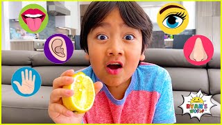 The Five Senses and more 1 hr kids educational learning !