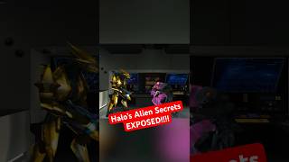 Halo’s Alien Secrets EXPOSED!! #halo #343industries #haloinfinite #microsoft #gaming