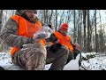 deer hunting public land double in the snow