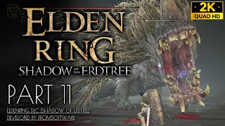 #11【ELDEN RING DLC攻略】ボス「黄金カバ」ソロ撃破、懲罰砦～影の城【エルデンリング/SHADOW OF THE ERDTREE】