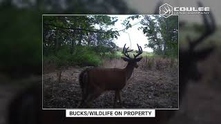 N11043 US 12 Humbird WI 84 acre hunting property