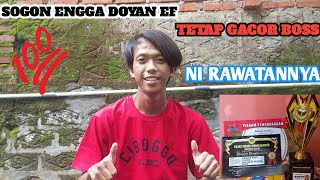 RAWATAN SOGON ENGGA DOYAN EF TETAP GACORR BOSS