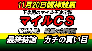 2022年11月20日JRA中央競馬予想/霜月ステークス マイルチャンピオンシップ(GI) 福島民友カップ 東京/阪神/福島競馬場