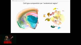Visualizing Spatial Transcriptomics with U-CIE... - Mikaela Koutrouli - HiTSeq - ISMB/ECCB 2023