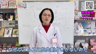 ウイルスに抗生物質は効かない！