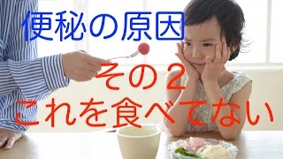 【便秘 解消】便秘の原因その２　これを食べてない