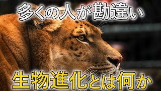 生物の祖先は同じ！？みんなが勘違いしている「進化」の本当の意味を解説