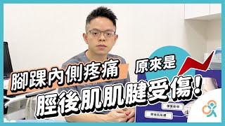 腳踝內側疼痛！脛後肌肌腱受傷如何治療？如何提升腳踝的穩定性呢？｜洪綱醫師｜生昇診所 - 增生療法與疼痛治療