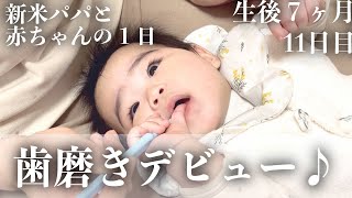 【毎日更新】初めて歯磨きをした日【生後7ヶ月11日目】｜赤ちゃん｜かわいい｜新米パパの奮闘記｜初育児｜A FULL DAY WITH A 7 MONTHS OLD BABY