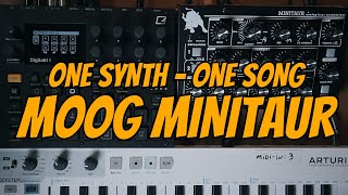 Let's make a track using only the Moog Minitaur (and Digitakt 2)